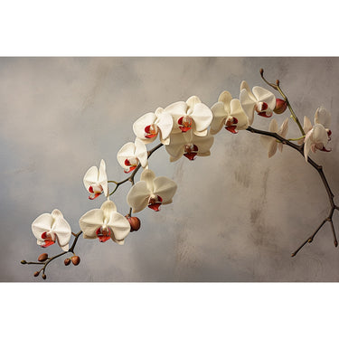 White Orchid Painting
